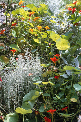 Untitled van William Eggleston, Fotografie te koop op Singulart