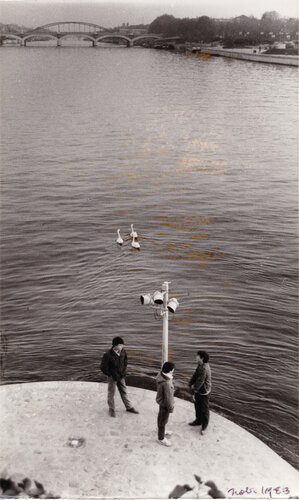 Carte de Voeux di Willy Ronis, Fotografia in vendita su Singulart