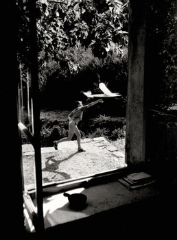 Willy Ronisの作品をSINGULARTで販売中