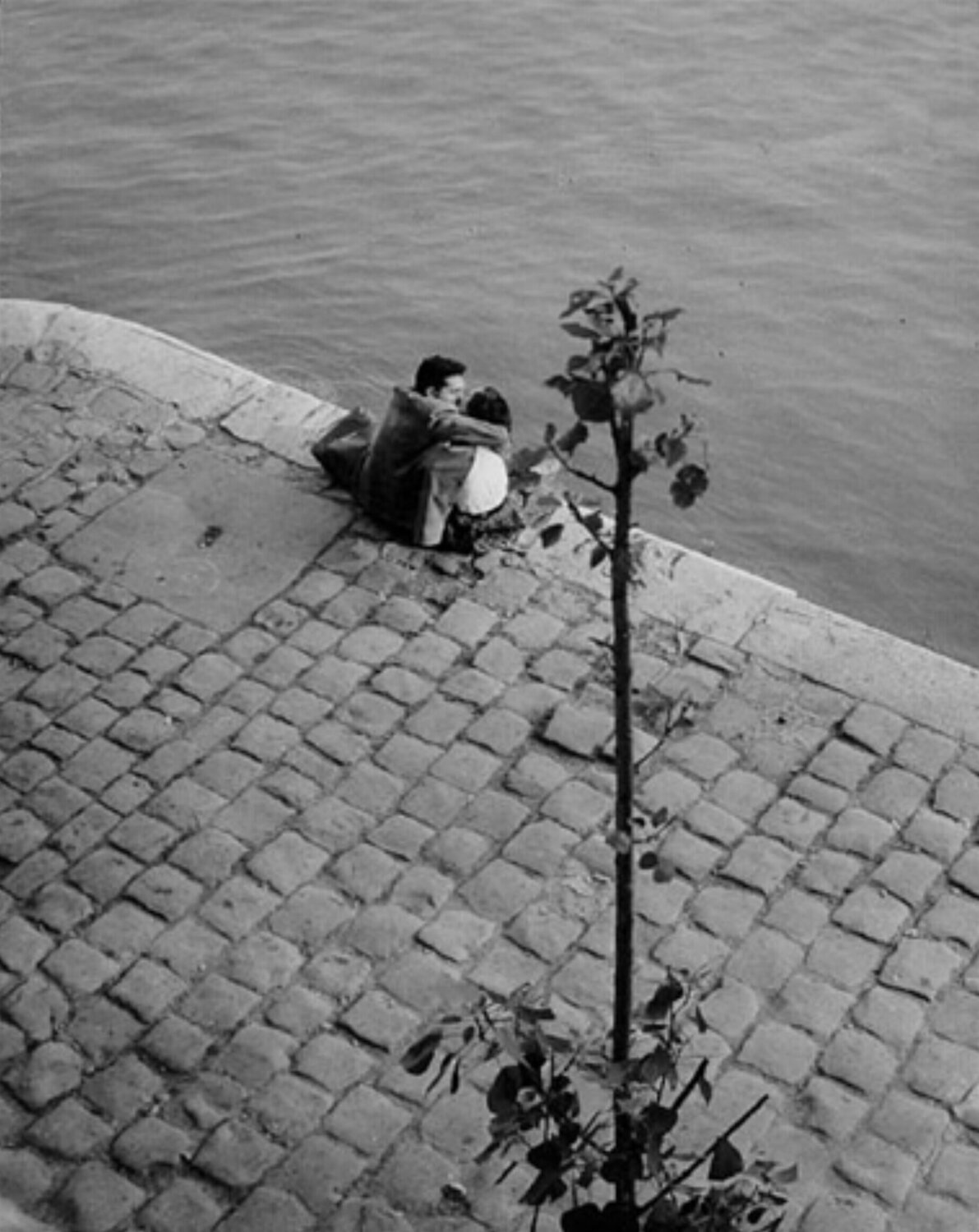 Quai du Louvre Willy Ronis Fotografie zu verkaufen