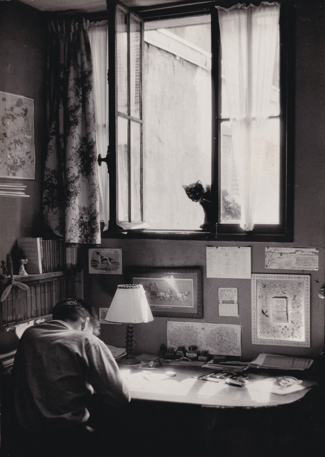 Vincent et le chat Willy Ronis Fotografia in vendita