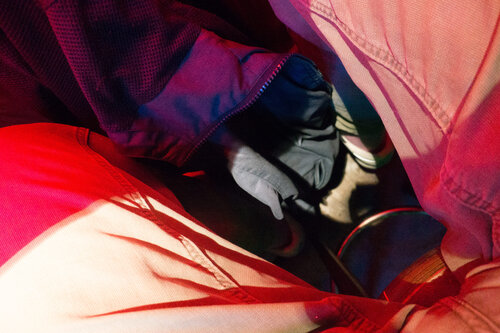 In the Garden van Wolfgang Tillmans, Fotografie te koop op Singulart