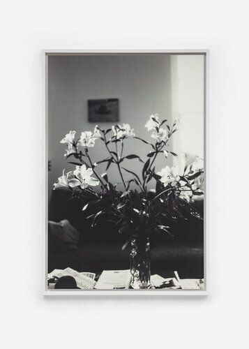 Alstroemeria van Wolfgang Tillmans, Fotografie te koop op Singulart