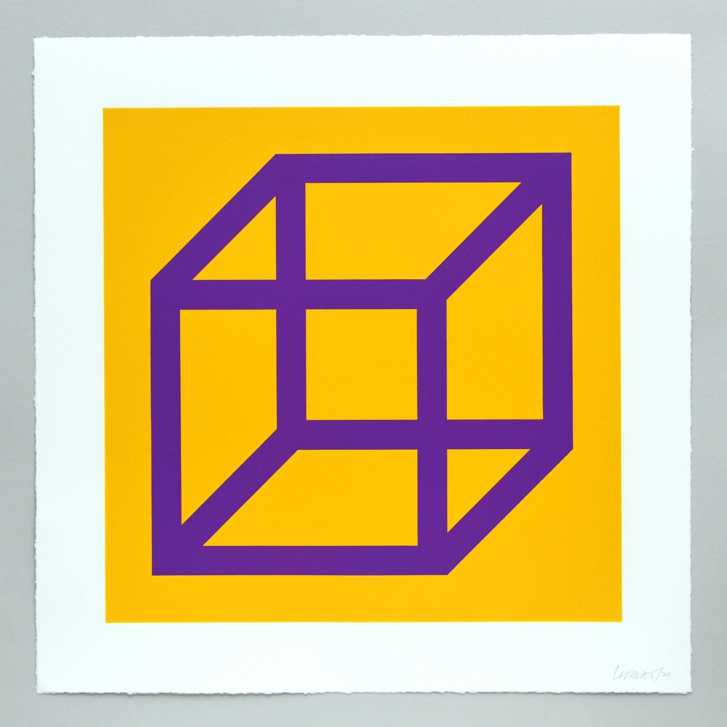 Open Cube in Color on Color Plate 27 Sol LeWitt