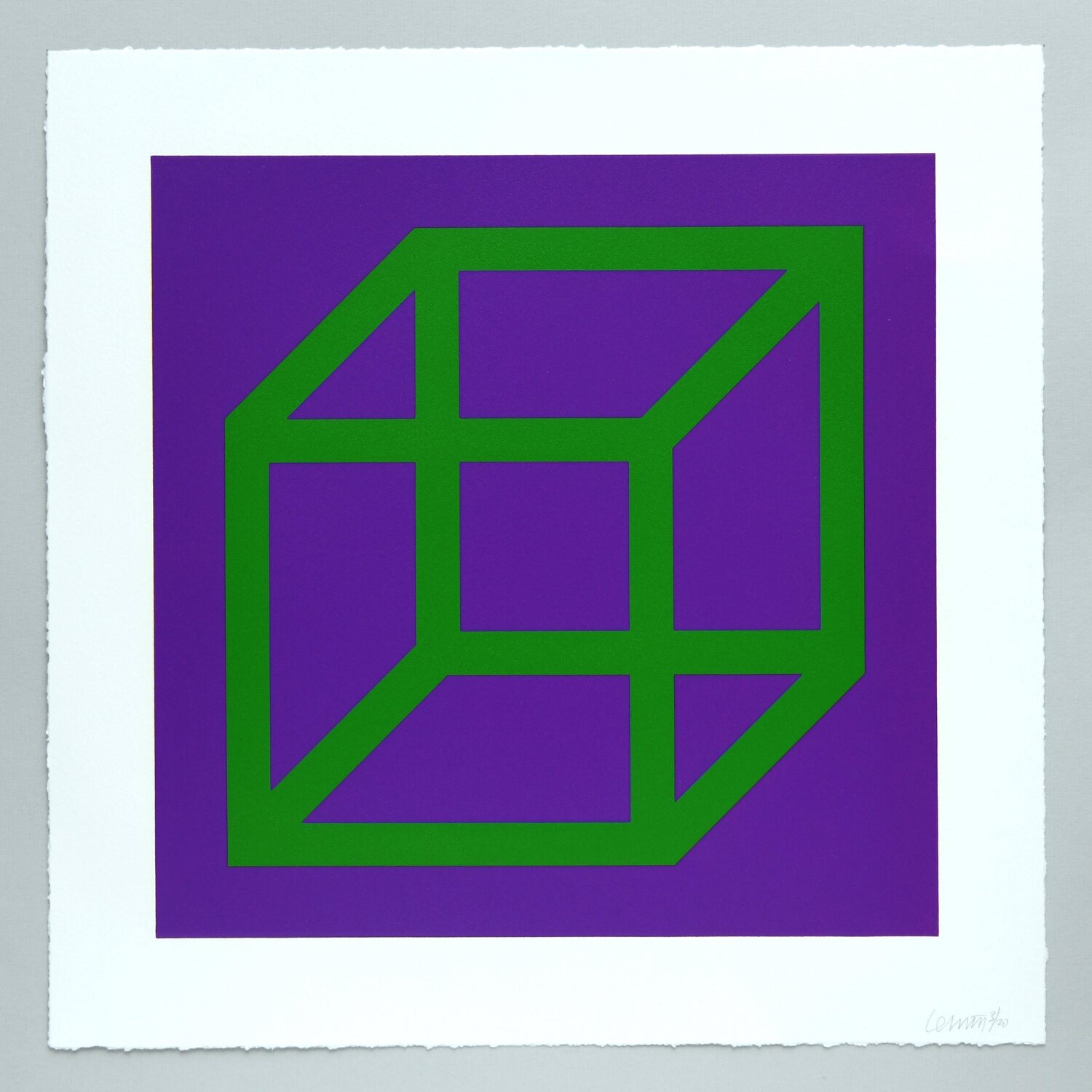Open Cube in Color on Color Plate 21 Sol LeWitt