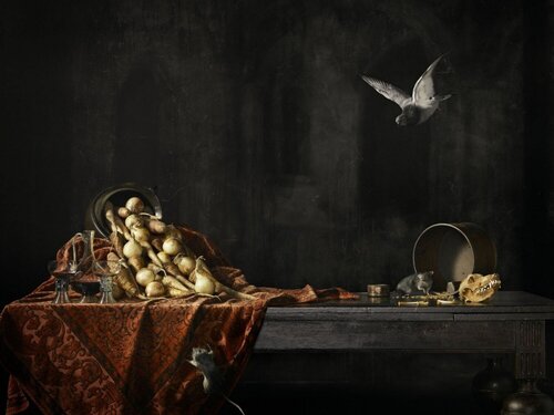 Still Life (Spanish Abundance, Scarcity in Leiden) van Erwin Olaf, Fotografie te koop op Singulart