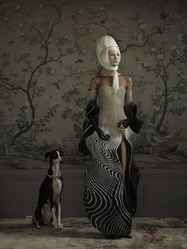 Iris Van Herpen van Erwin Olaf, Fotografie te koop op Singulart