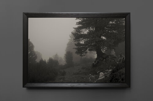 Im Wald, Unter dem Baum van Erwin Olaf, Fotografie te koop op Singulart
