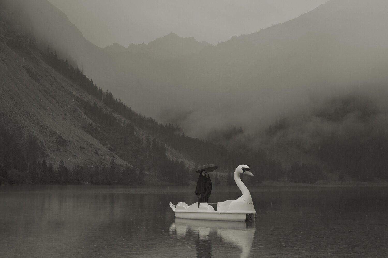 Im Wald, Der Schwan Erwin Olaf Fotografia in vendita