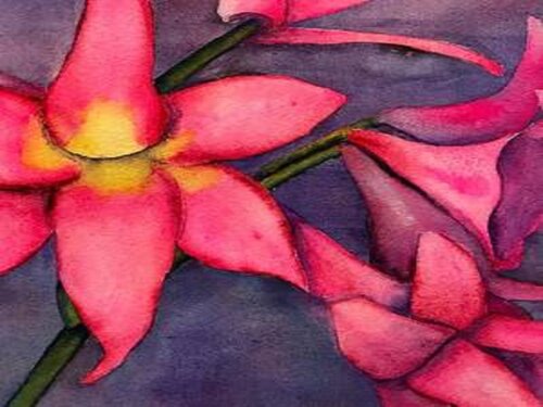 Pink Amaryllis Bella Donna von Nancy Riedell, Malerei kaufen auf Singulart