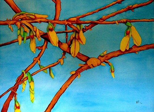 Forsythia di Nancy Riedell, Pittura in vendita su Singulart