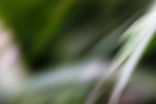 FLOW I (S) van Sandra Stamm, Fotografie te koop op Singulart