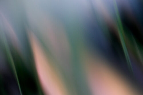 FLOW II (S) van Sandra Stamm, Fotografie te koop op Singulart