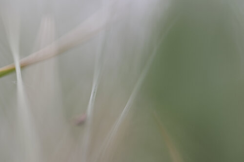 ARIYA 04 (L) Sandra Stamm