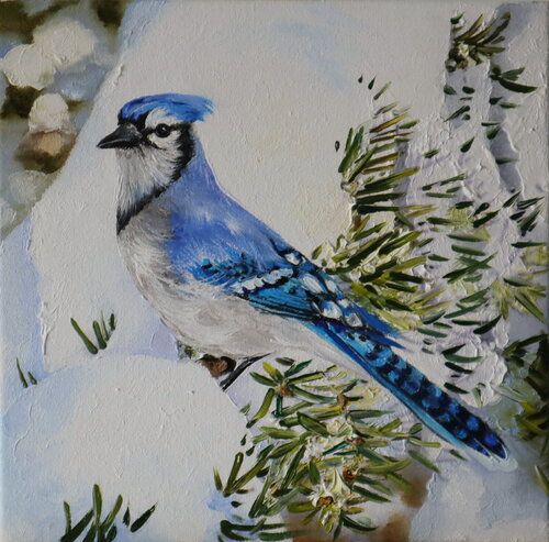 Jay Blue Bird by Nataliia Shaikina, Painting for Sale on Singulart