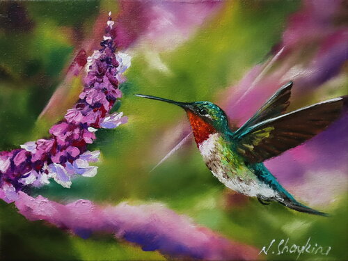 Hummingbird van Nataliia Shaikina, Schilderij te koop op Singulart