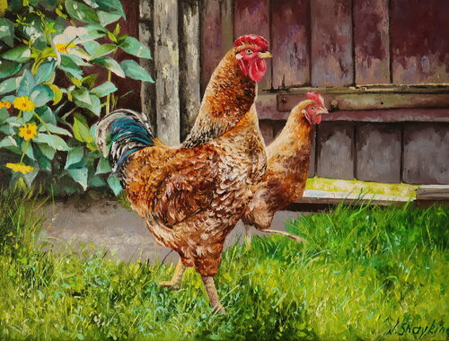 Rooster and chicken von Nataliia Shaikina, Malerei kaufen auf Singulart