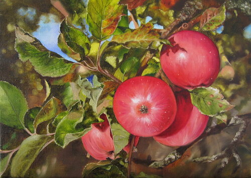 Red apples on a branch. Original Oil Painting van Nataliia Shaikina, Schilderij te koop op Singulart
