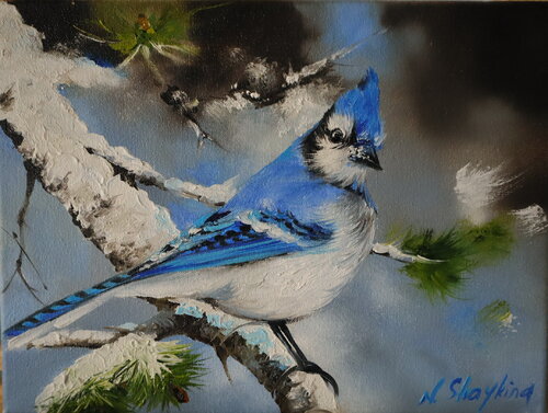 Blue Jay Bird Original painting on Canvas by Nataliia Shaikina, Painting for Sale on Singulart