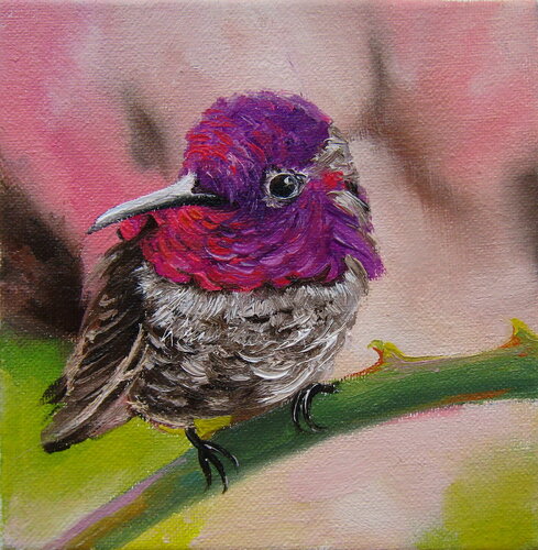 Violet Hummingbird Original Oil Painting Canvas, Bird Lover Gift Hummingbird violetear Bright Colours Wall Art, Wildlife von Nataliia Shaikina, Malerei kaufen auf Singulart