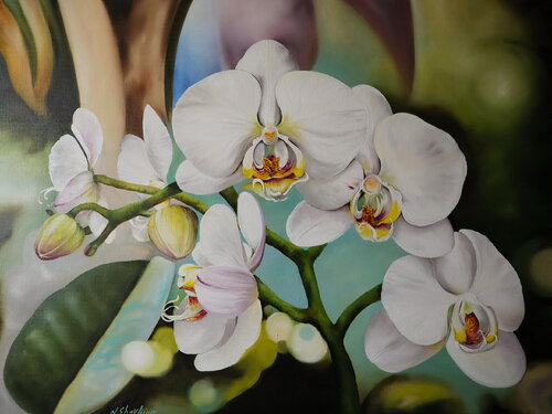 White Orchid, Large Original Oil Painting van Nataliia Shaikina, Schilderij te koop op Singulart