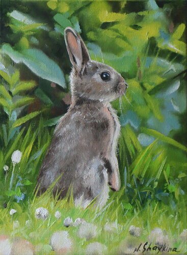 Bunny in Grass Land von Nataliia Shaikina, Malerei kaufen auf Singulart