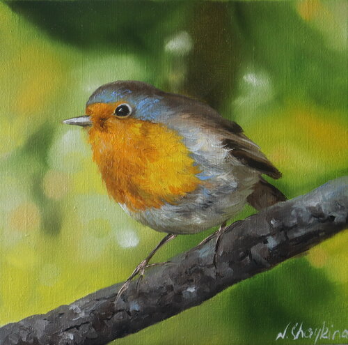 Robin by Nataliia Shaikina, Painting for Sale on Singulart
