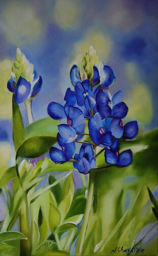 Bluebonnets, Nature Scene di Nataliia Shaikina, Pittura in vendita su Singulart