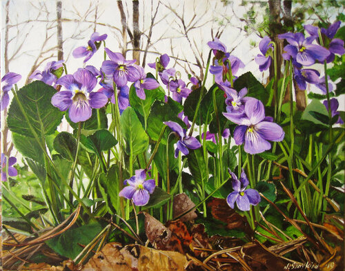 Sweet Violet in the Spring Forest , Woodland Scenery, Realistic Floral Artwork von Nataliia Shaikina, Malerei kaufen auf Singulart