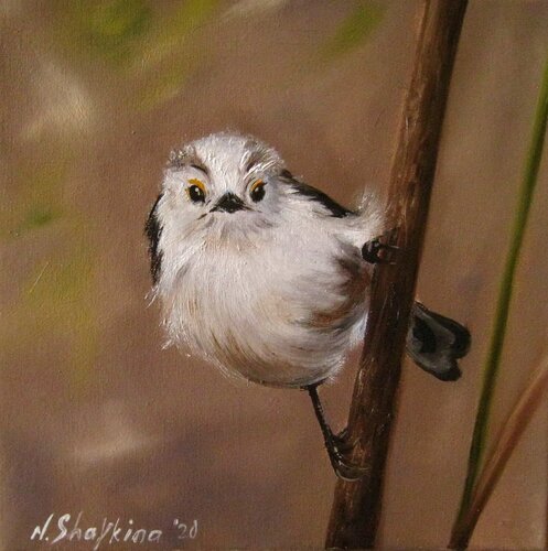 Long-Tailed Tit Oil Painting, Small Bird Portrait Nataliia Shaikina