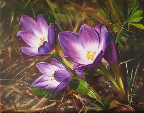 Crocus Painting Original Art, Purple Flower Canvas Art, Realistic Crocuses, Nature Landscape Wall Art, Spring Scene von Nataliia Shaikina, Malerei kaufen auf Singulart