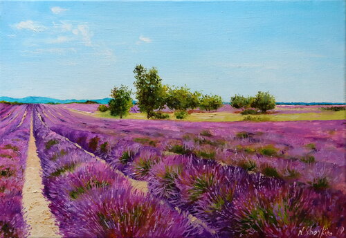 Lavender fields von Nataliia Shaikina, Malerei kaufen auf Singulart