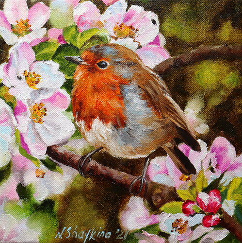 Spring Robin by Nataliia Shaikina, Painting for Sale on Singulart