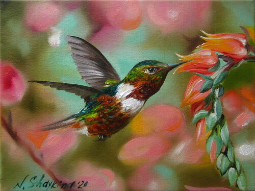 Hummingbird and a Pink Flower de Nataliia Shaikina, Pintura a la venta en Singulart