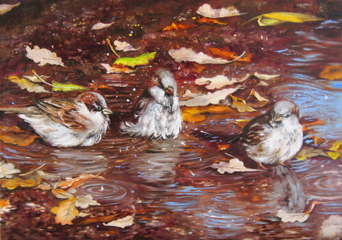Sparrows bathing von Nataliia Shaikina, Malerei kaufen auf Singulart