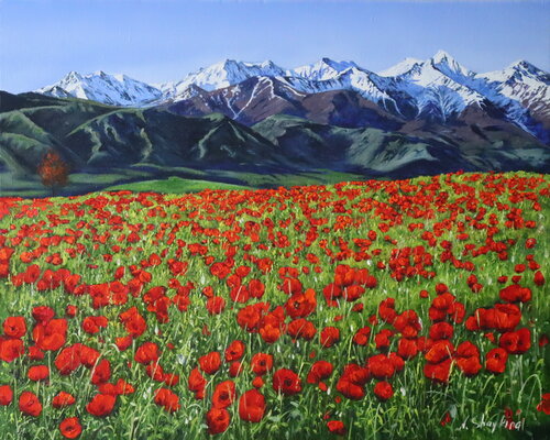 Field Poppy in the Mountain, Landscape painting original de Nataliia Shaikina, Pintura a la venta en Singulart