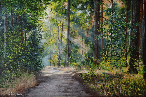 Original Oil Painting - Sunlit Forest Path, Landscape Art, Nature Inspired Artwork by Nataliia Shaikina, Painting for Sale on Singulart