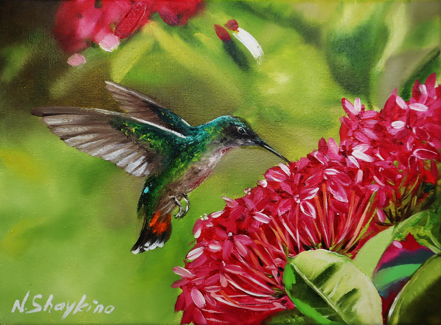 Hummingbird and a Pink Flower Nataliia Shaikina Originalgemälde zu verkaufen