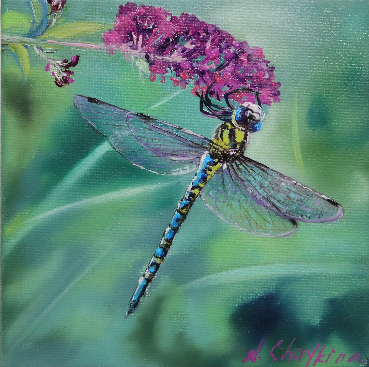 Dragonfly In A Meadow Flowers Nataliia Shaikina