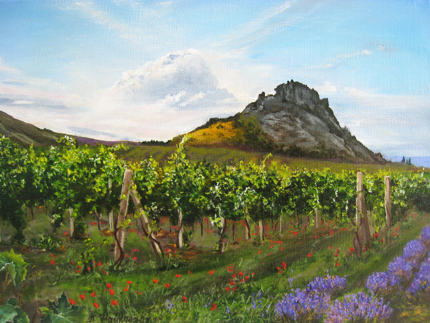 Serene Vineyards and Lavender Fields Nataliia Shaikina