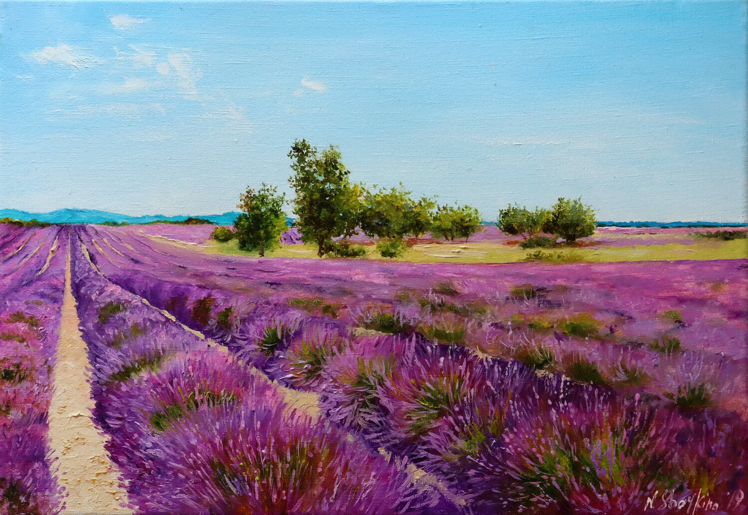 Lavender fields Nataliia Shaikina