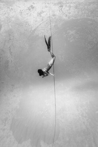 Freedive at the anchor van Enric Gener, Fotografie te koop op Singulart