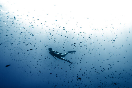 Freediving surrounded by fish Enric Gener