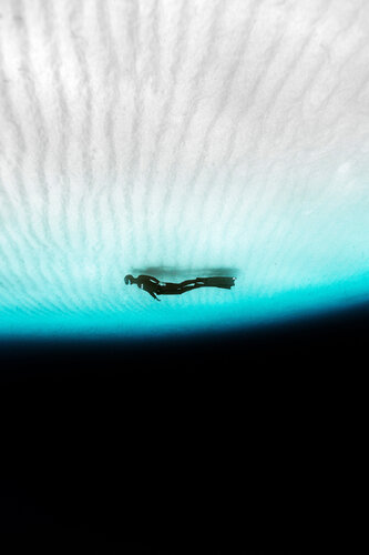 Freedive at Eel Garden di Enric Gener, Fotografia in vendita su Singulart