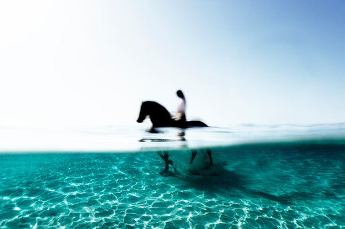 Swimming with horses par Enric Gener, Photographie en vente sur Singulart