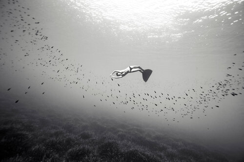 Freediving surrounded by fish di Enric Gener, Fotografia in vendita su Singulart