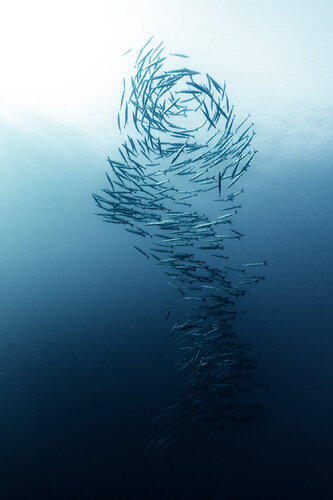 210928-0A0A8814 par Enric Gener, Photographie en vente sur Singulart