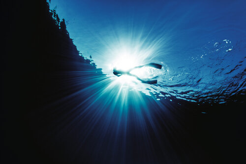 Freediving surrounded by fish von Enric Gener, Fotografie kaufen auf Singulart