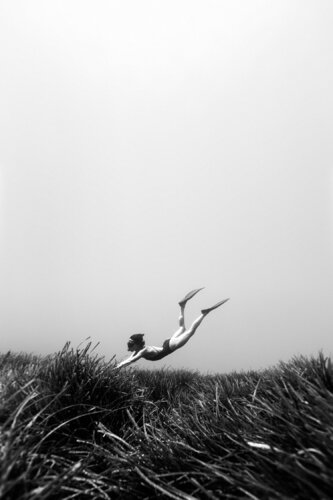 Freedive at the anchor von Enric Gener, Fotografie kaufen auf Singulart