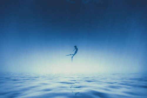 Freediving surrounded by fish di Enric Gener, Fotografia in vendita su Singulart